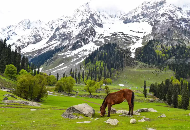Kashmir With Mata Vaishno Devi