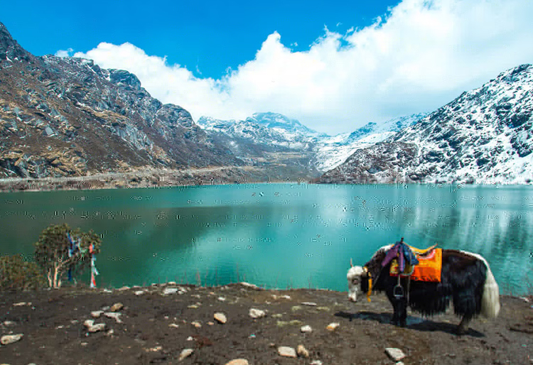 North Sikkim with Darjeeling