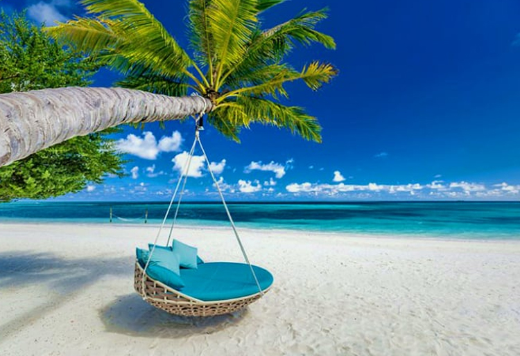 Splendid Seychelles Honeymoon