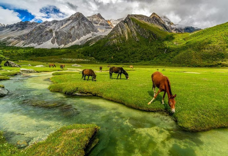 Kashmir with Leh Ladakh