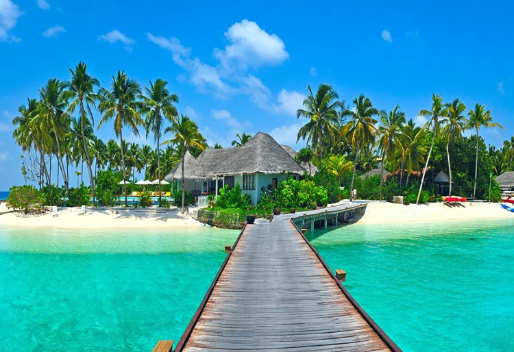 Enjoy Andaman