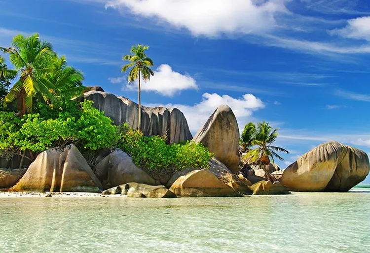 Splendid Seychelles Honeymoon